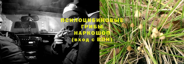 стаф Пролетарск