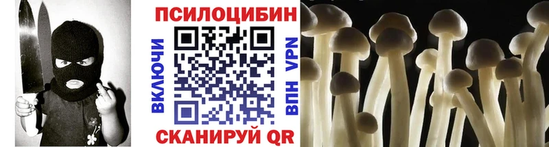 сколько стоит  Изобильный  Псилоцибиновые грибы Psilocybine cubensis 